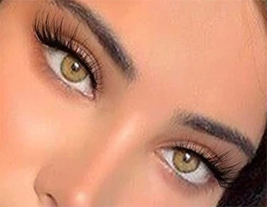 a732aa2476ab3d4d571eba2573c88f1 a732aa2476ab3d4d571eba2573c88f1