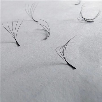 تريند جديد لتمديد الرموش Y و W 5d