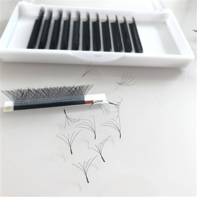 رموش المروحة 5D